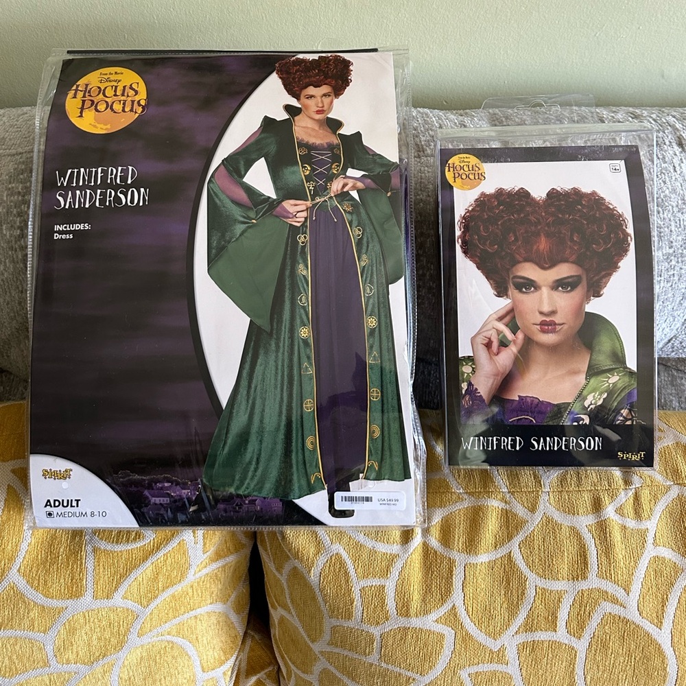 Disney Hocus Pocus Adult Witch Costume